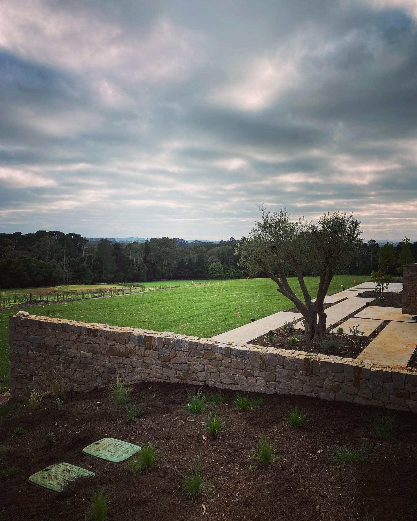 Finished lawn, stone retaining wall and established olive tree overlooking the rural landscape at Red Hill